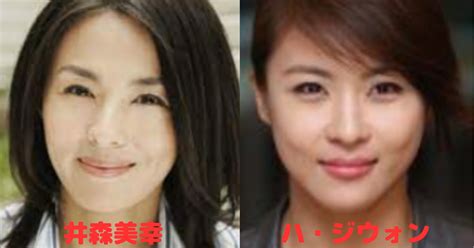 北川景子似|【比較画像】井森美幸と北川景子は似てる？似てない？横顔が。